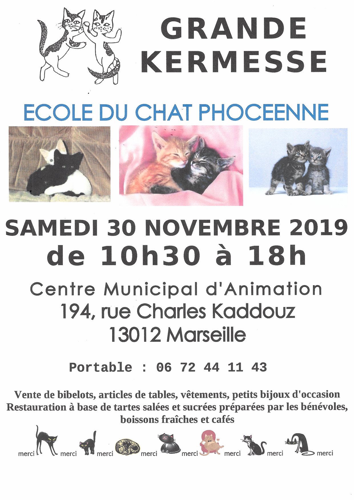 Ecole Du Chat Phoceenne L Actualite